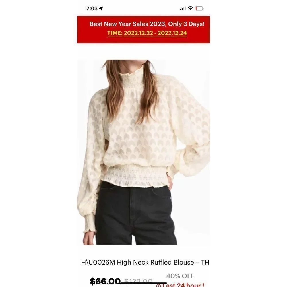 H&M High Neck Ruffled Cream Sheer Blouse 14